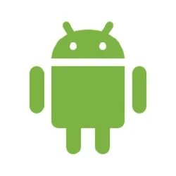 Tipos de aretes para ganado