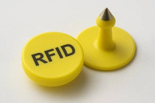 identificacion bovina